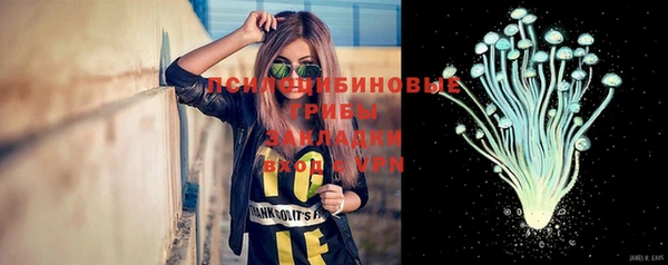 каннабис Белокуриха