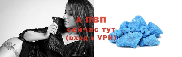 гидра Белоозёрский