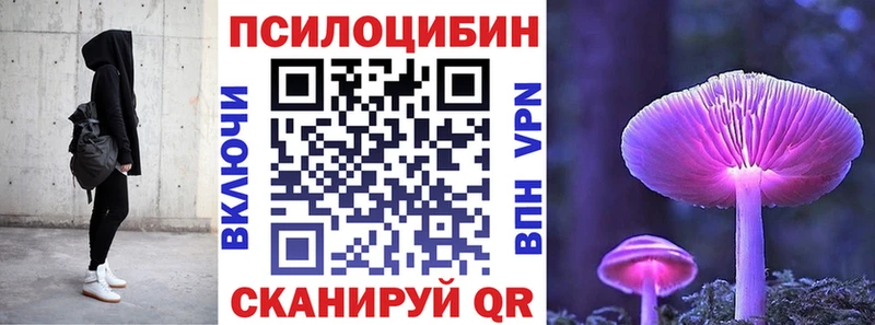 Псилоцибиновые грибы GOLDEN TEACHER  ОМГ ОМГ ссылка  Волжск  цена наркотик 